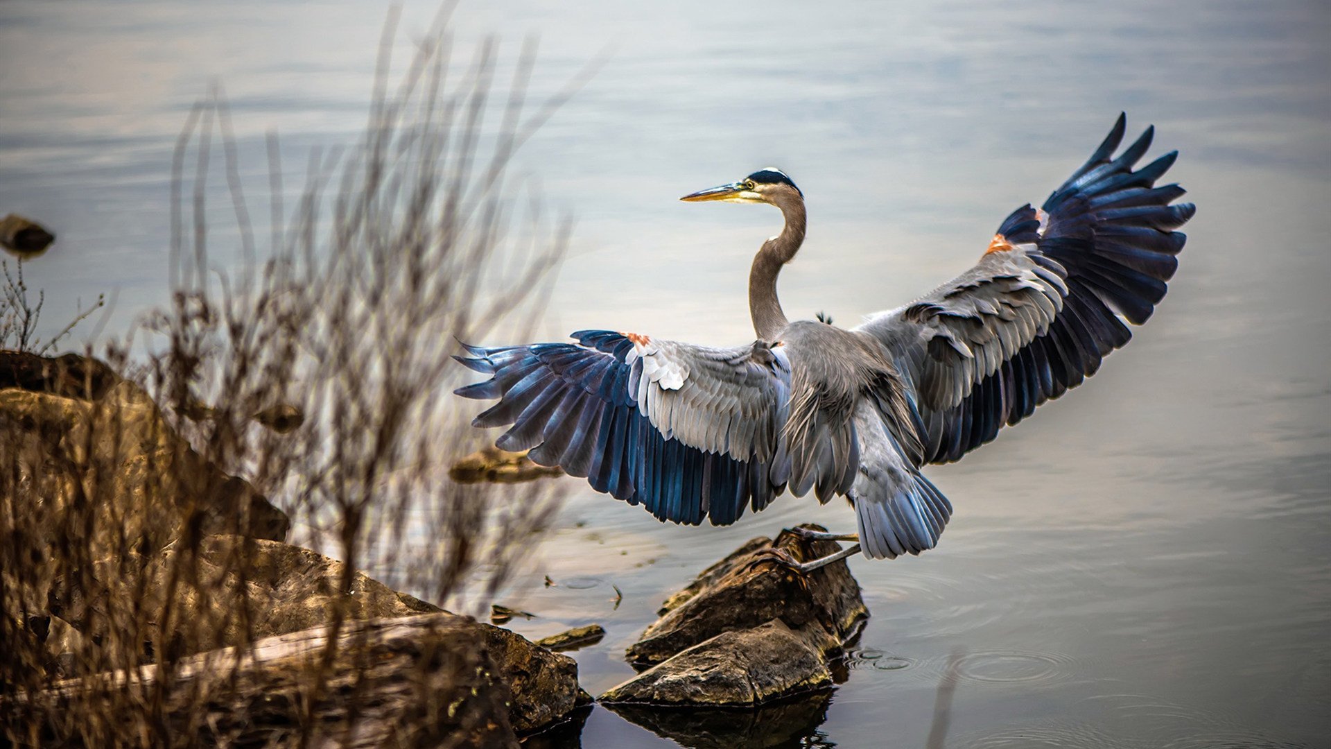 《FIFA》电竞世界杯与《实况足球》世界赛的足球电竞对比，实况足球和fifa足球世界有什么区别