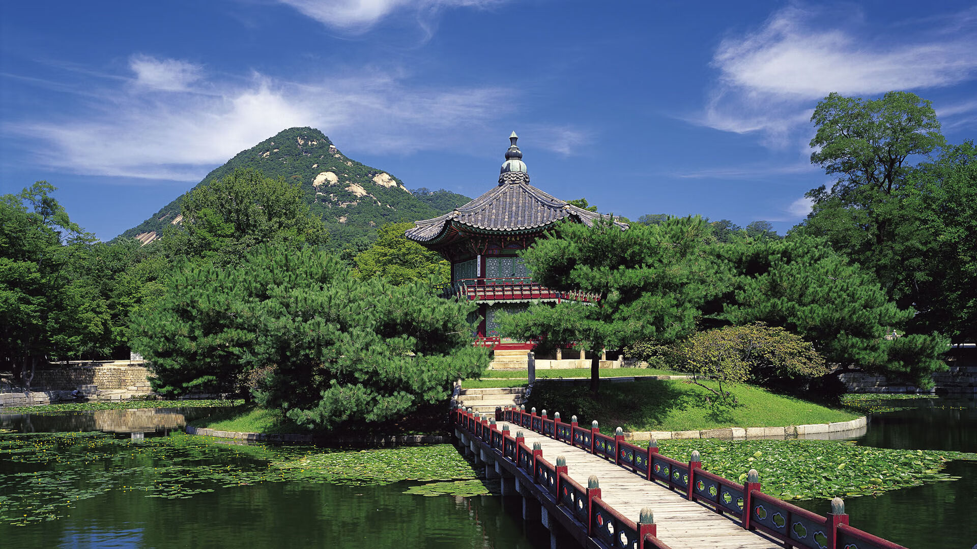 【全球范围】棒球运动在不同国家的发展新趋势，棒球运动在中国的发展