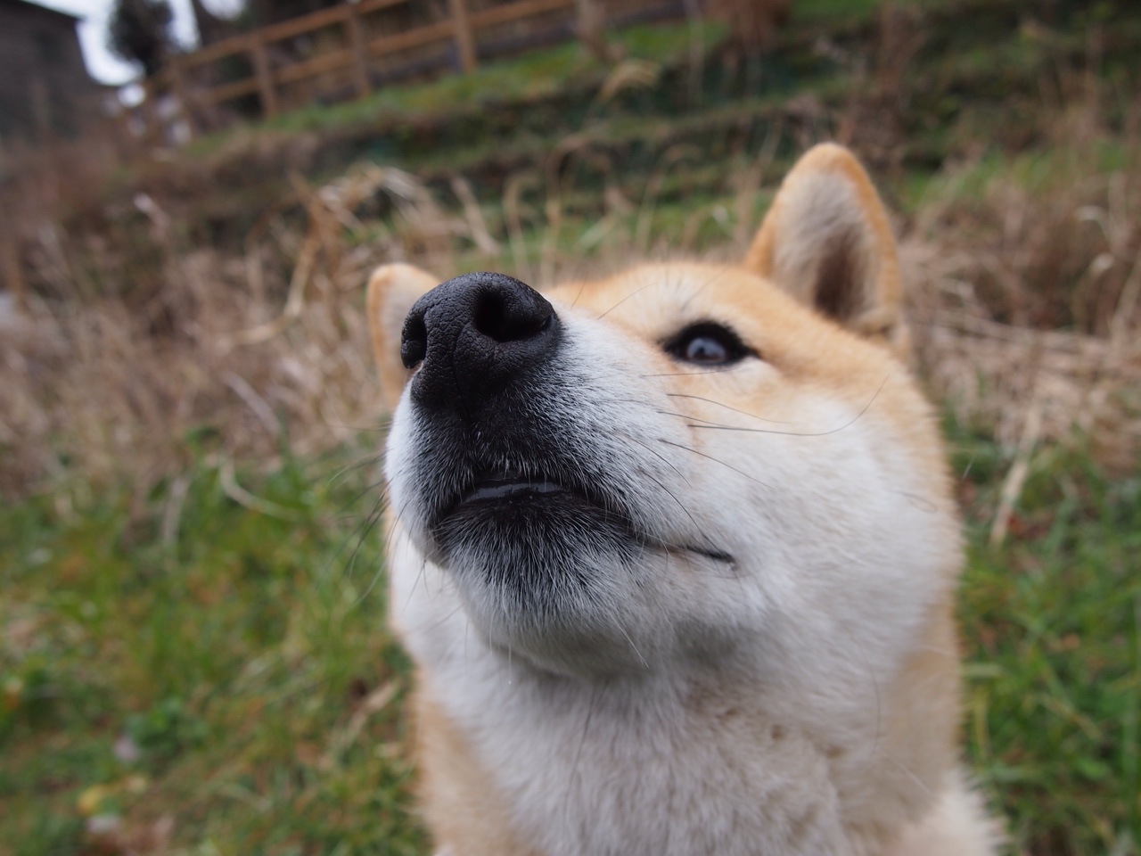 开云投注-世界篮球节：NBA携手国际合作共促体育文化交流，篮球世界友谊赛赛程