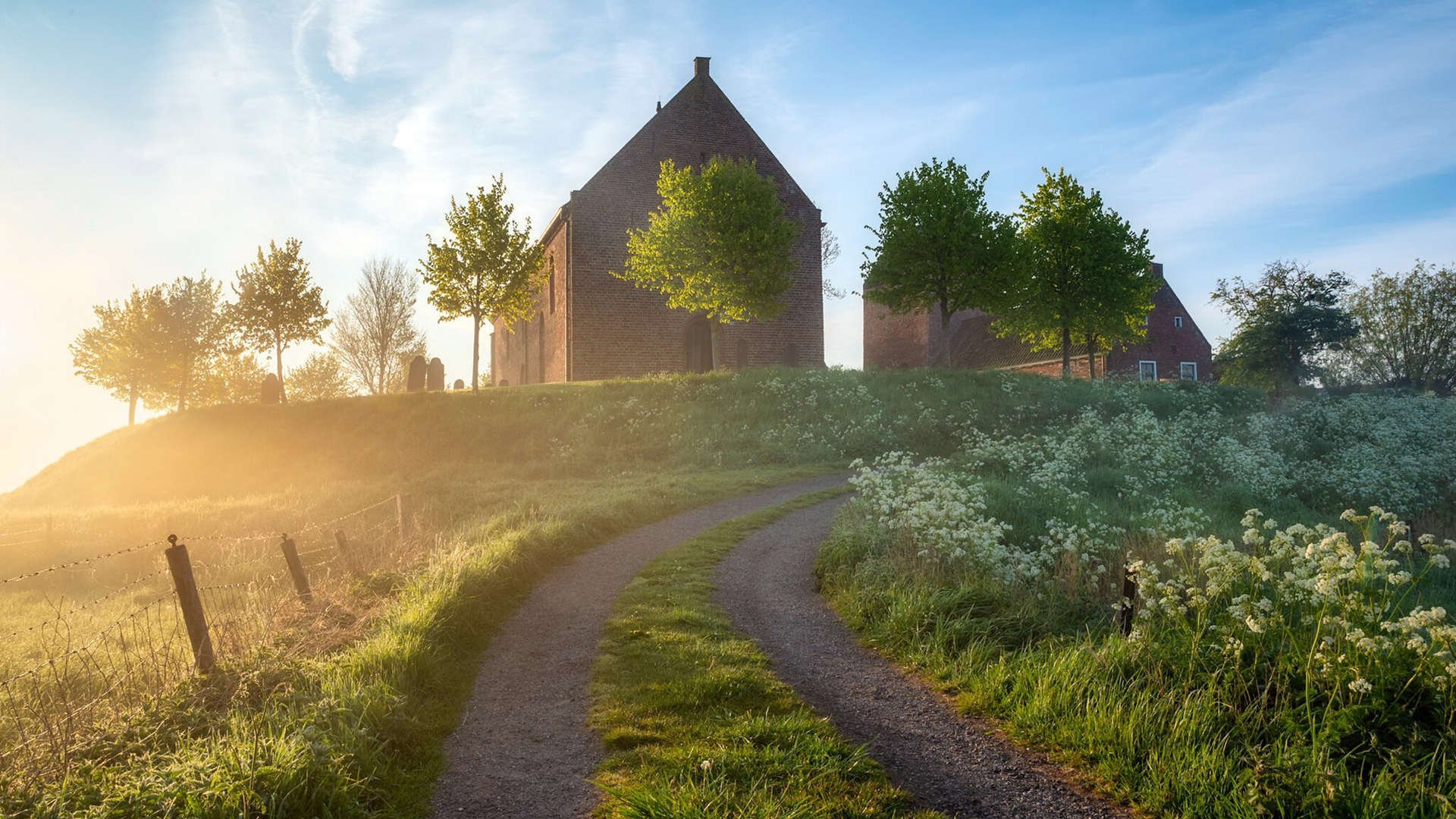 足球学校数量创新高青训力量持续增强，职业足球青训学校一年的费用