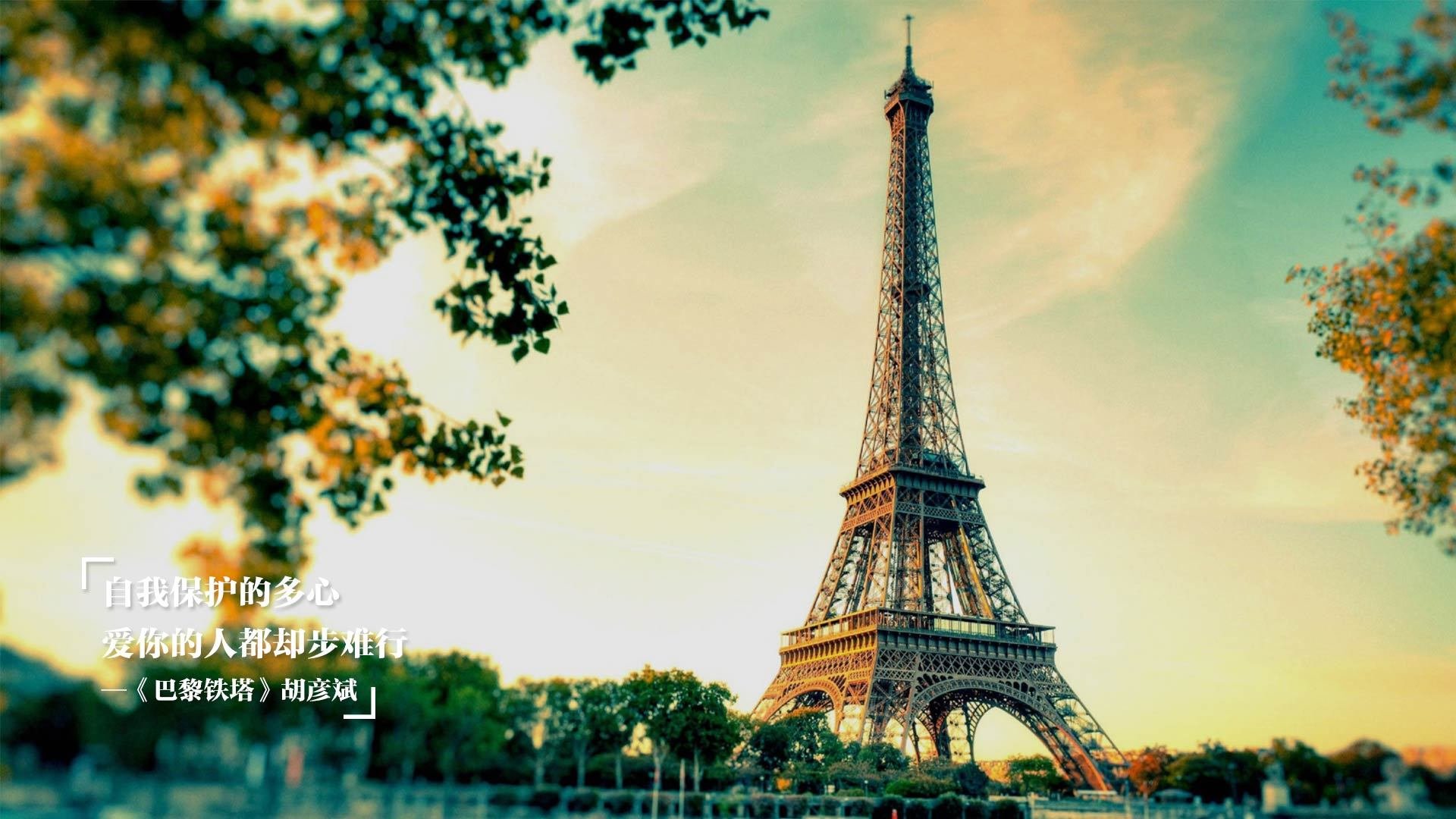 布莱顿主场一分被分走，保级压力加大，布莱顿新主帅