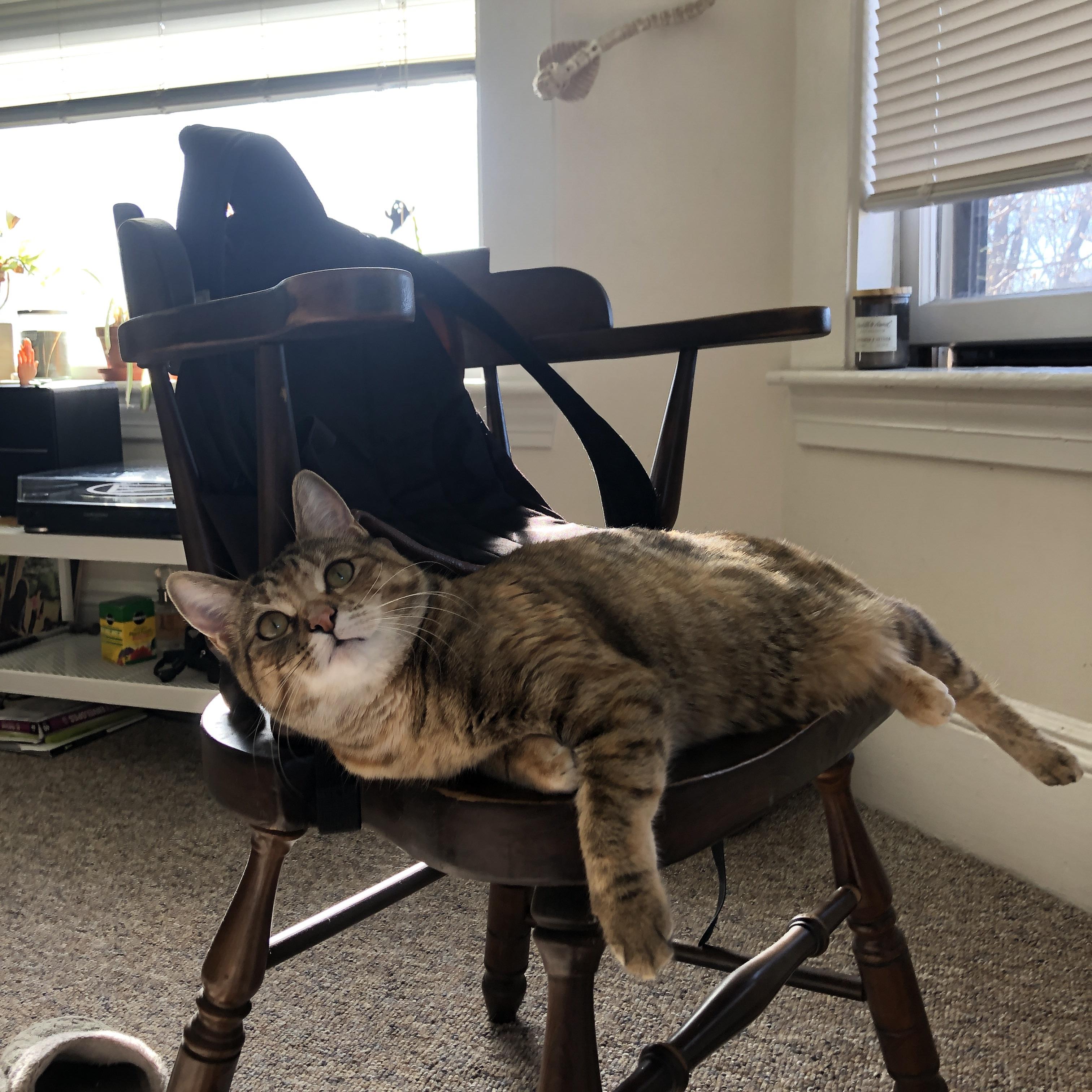 曼联主场战胜狼队，英超联赛中的传统豪门取得胜利，曼联与狼队比赛分析