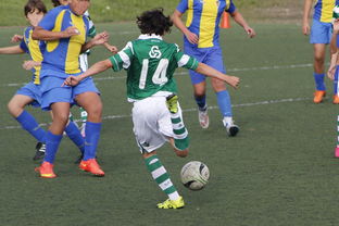 开云在线-中国足球外援依赖度趋势分析，中国足球外援依赖度趋势分析图