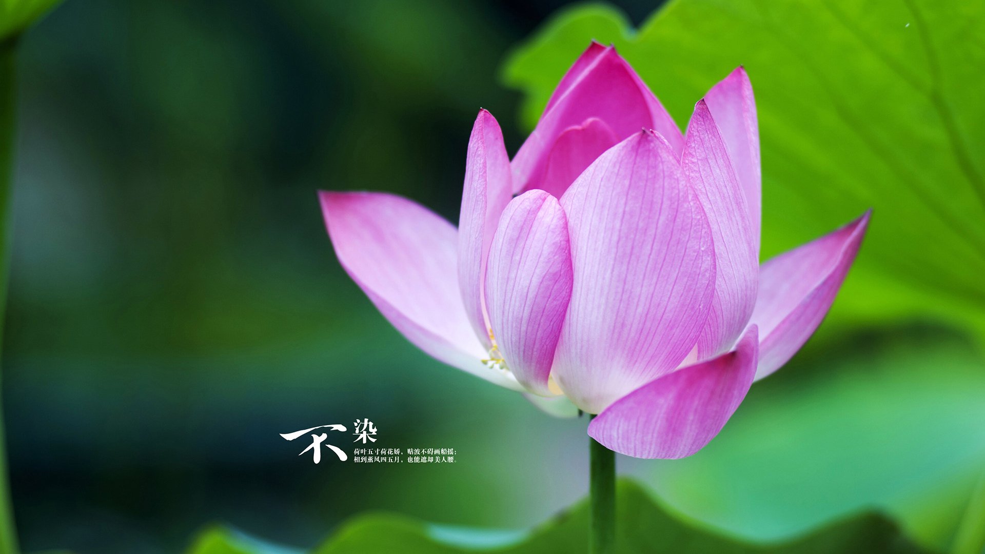 智能运动设备使用行为对锻炼习惯形成的影响,运动智能的利与弊论文