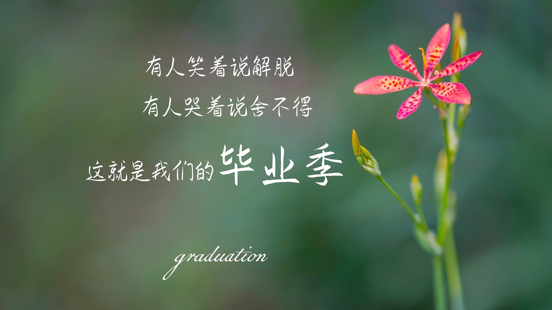 篮球专项技能训练方法创新与教学实践,篮球专项技术