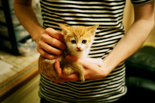 高校运动训练效果科学评估，普通高等学校运动训练评分标准