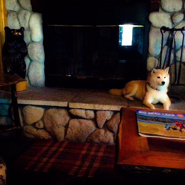 2024年国际乒联混合团体世界杯：德国队的逆袭时刻，国际乒联世界巡回赛 德国公开赛男单