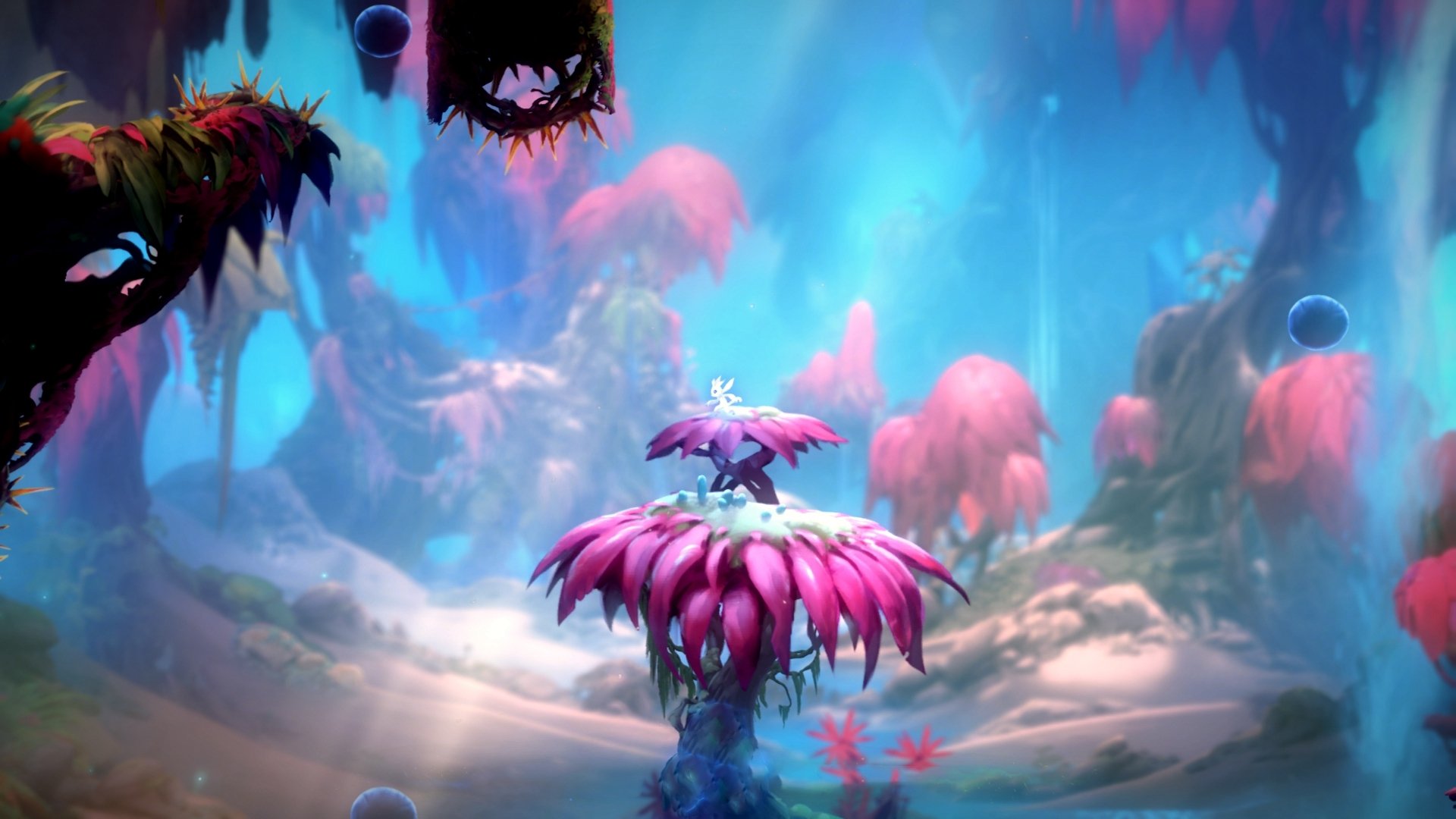 kaiyun-CBA多支球队加强团队配合 赛场表现亮眼，cba新增5家合作方