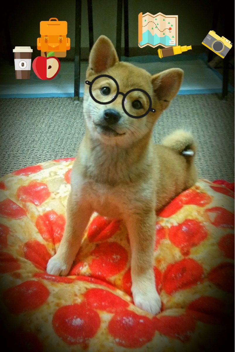 开云官网-关键中场球员是否能左右球队主动权归属，中场球员包括哪些位置